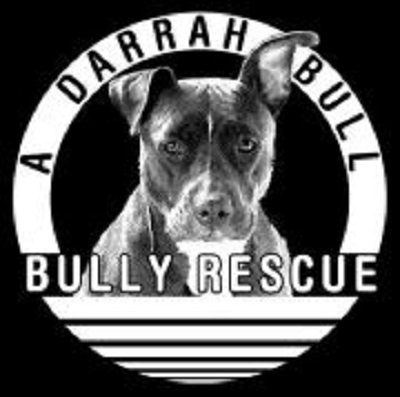 A Darrah Bull Bully Rescue