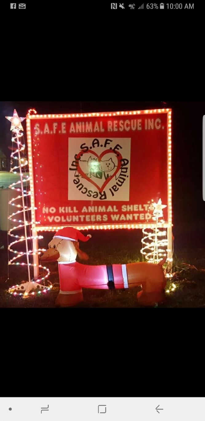S.A.F.E. Animal Rescue INC