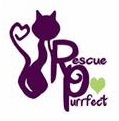 Rescue Purrfect