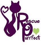 Rescue Purrfect