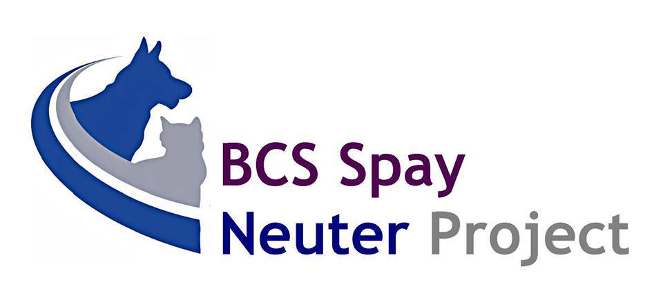 BCS Spay