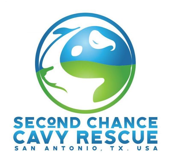 Second Chance Cavy Rescue