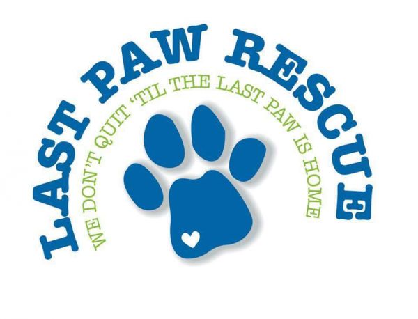 Last Paw Rescue