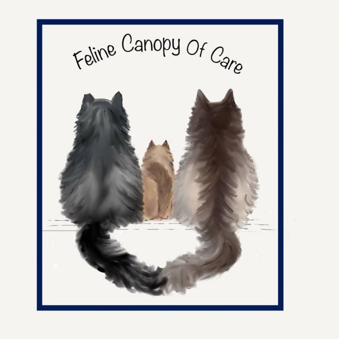 Feline Canopy of Care, Inc.