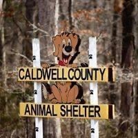 Caldwell County Animal Shelter