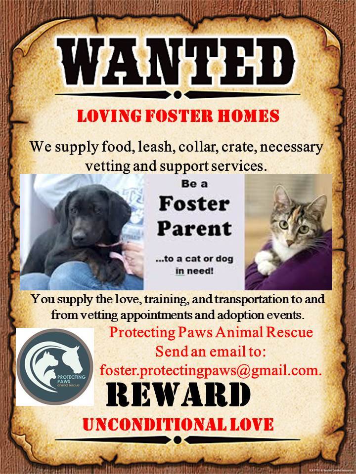 Fostering Saves Lives!