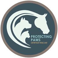 Protecting Paws Animal Rescue