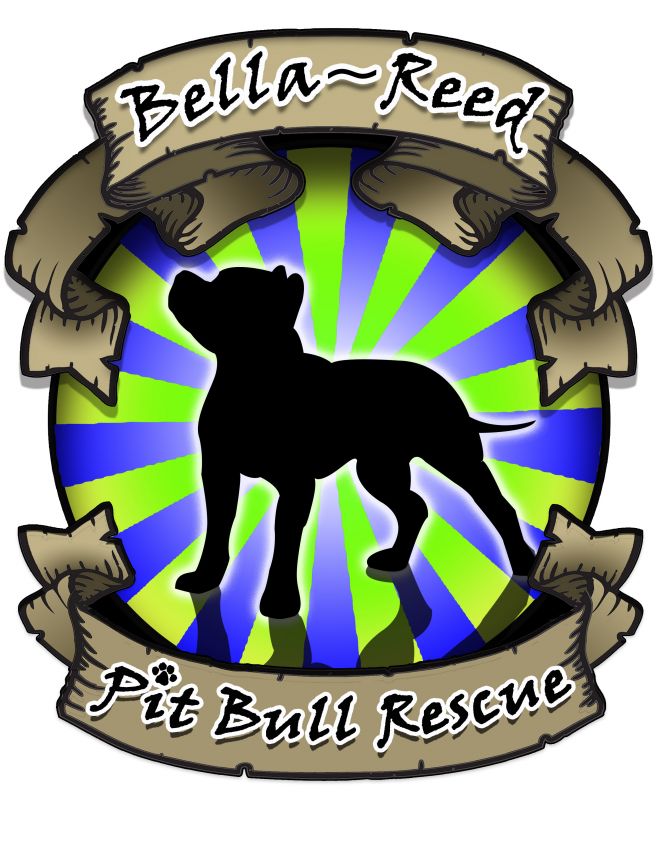 Bella-Reed Pit Bull Rescue