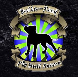 Bella-Reed Pit Bull Rescue