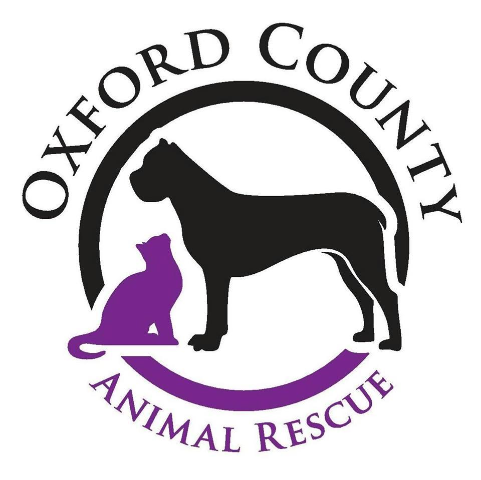 Fayette County Georgia Humane Society Animal Rescue, 41% OFF