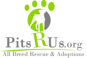 Pits R Us All Breed Rescue and Adoptions