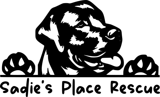 Sadie's Place Animal Rescue and Adoptions