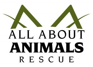 All About Animals Rescue
