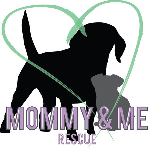 rescue me animal adoption