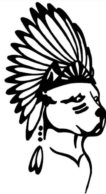 Tribe Dog Training and Rescue Logo