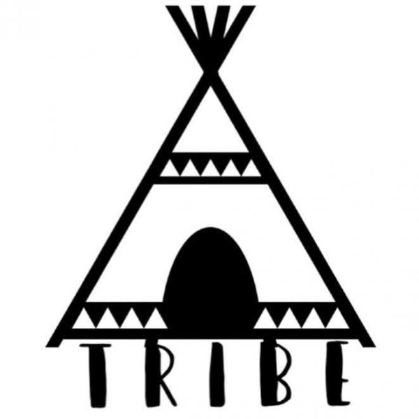 Tribe Bully Rescue