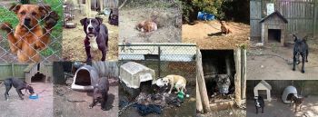 Bringing change to those chained