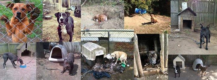 Bringing change to those chained