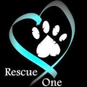 Rescue sales one petfinder