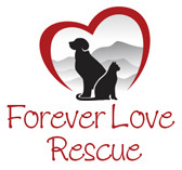 Forever Love Rescue Inc