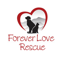 Forever loved hot sale pet sanctuary