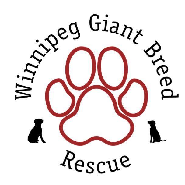 Winnipeg Giant Breed Rescue