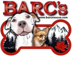 BARC's Rescue