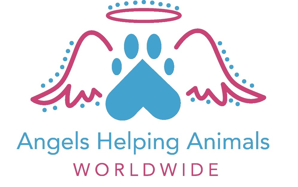 Adoption Event - PetSmart — Angel of Hope Animal Rescue