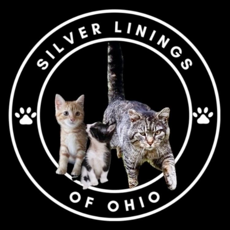 Silver Lining Services