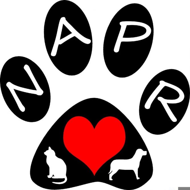 New Albany Pet Rescue