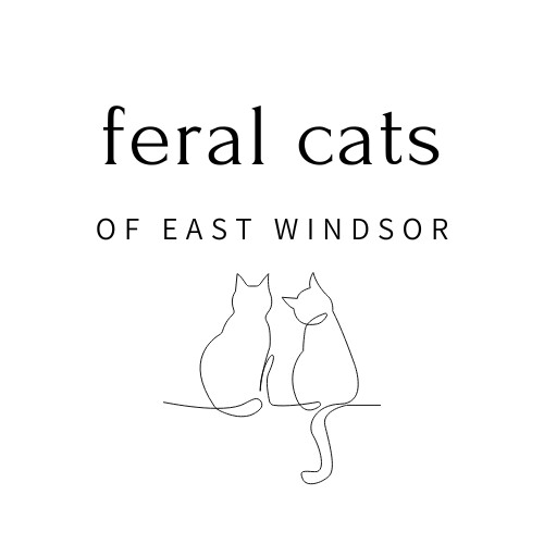 Feral Cats of East Windsor Inc.