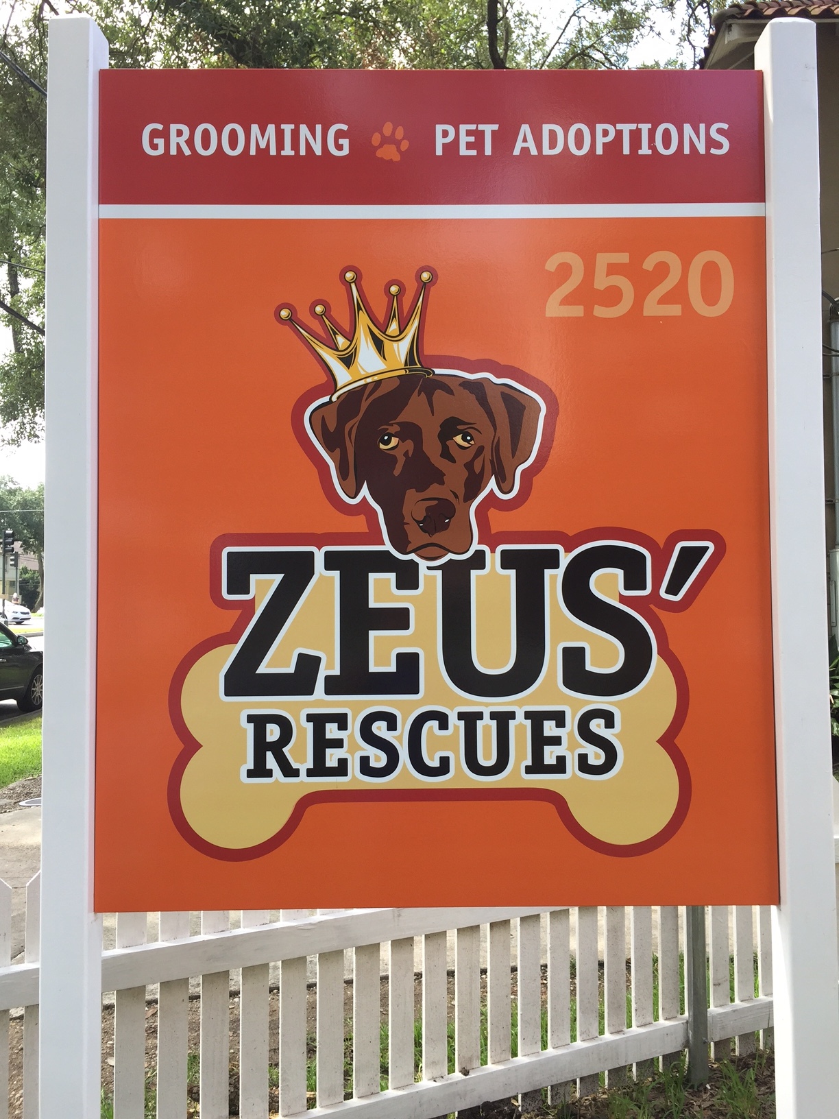 Zeus' Rescues
