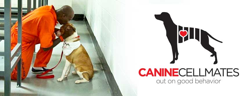 Canine CellMates