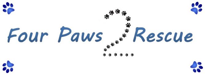 Four Paws 2 Rescue