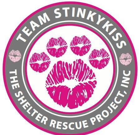 Team Stinkykiss