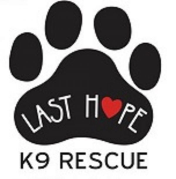 Last Hope K9 Rescue