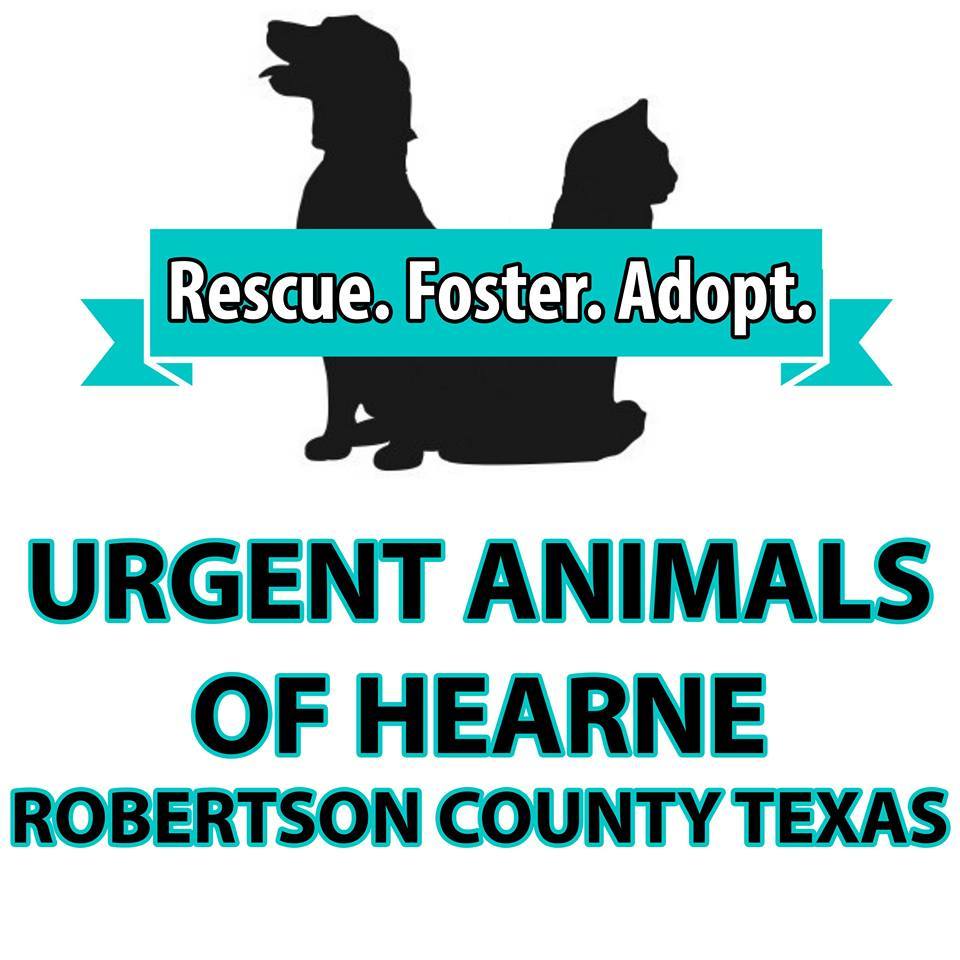 Hearne Animal Control