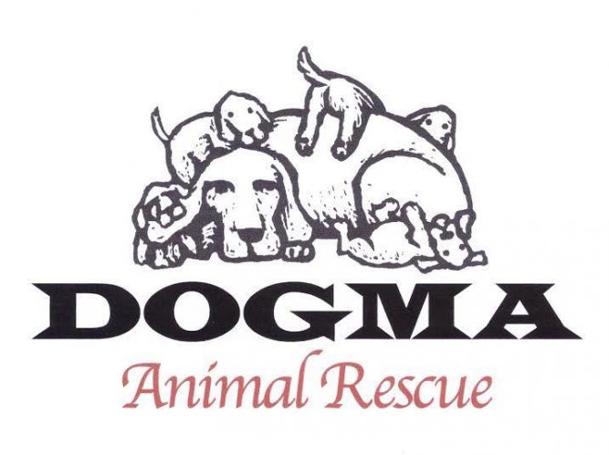 Dogma Animal  Rescue