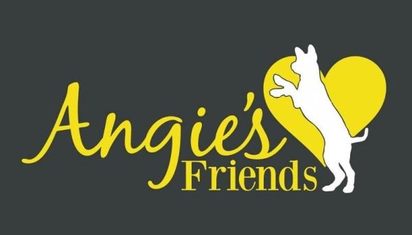 Angie's Friends
