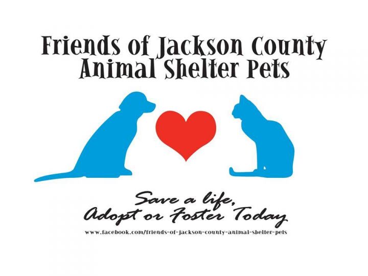 Jackson hot sale county spca