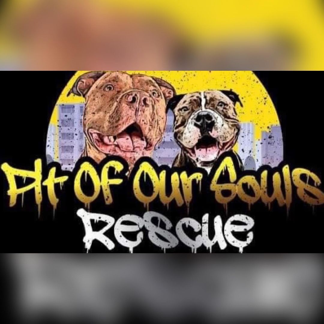 Pit Of Our Souls Rescue Inc