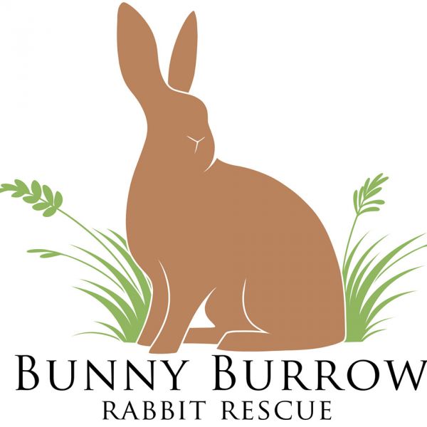 The Bunny Burrow Rabbit Rescue