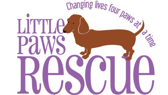 Little Paws Dachshund Rescue