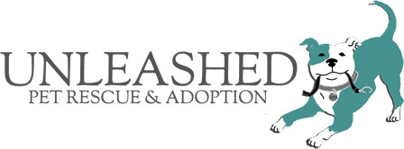 Pets For Adoption At Unleashed Pet Rescue And Adoption In Mission Ks Petfinder