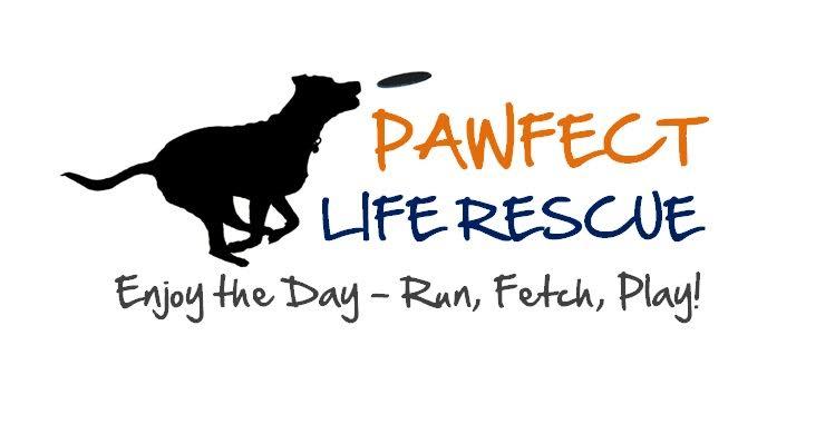 Pawfect Life Rescue