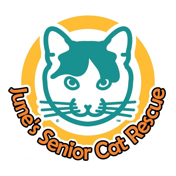 Junes Senior Cat Rescue