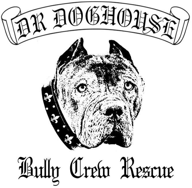 DR Doghouse Bully Crew Rescue 