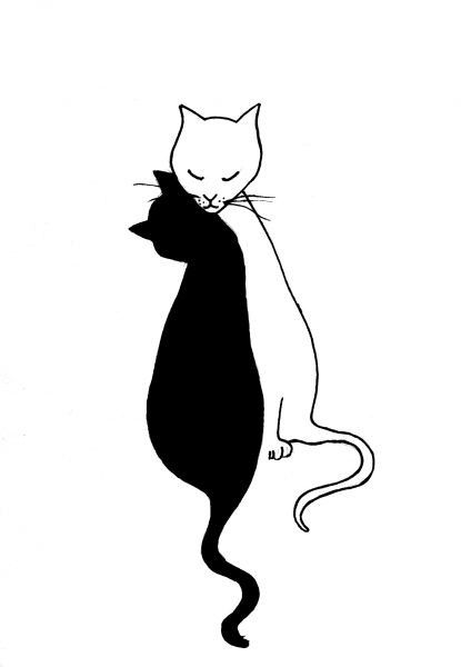 Niagara Spay Neuter Assistance Program Inc.