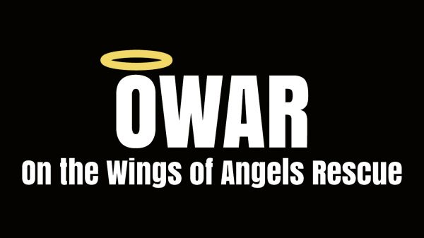On the Wings of Angels Rescue