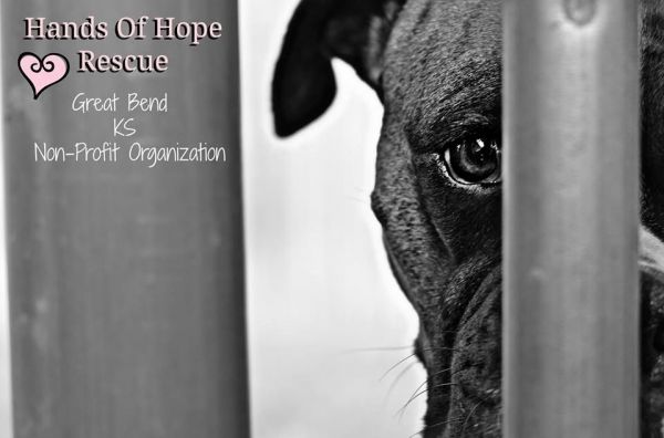 Hands of Hope Rescue